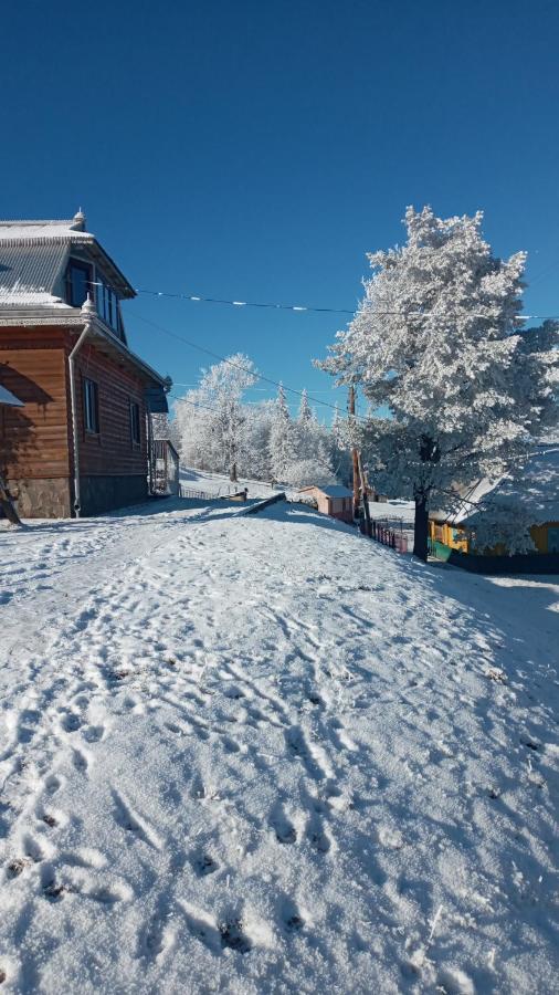 Vila Gutsulska Oselya Krivopol'ye Exteriér fotografie