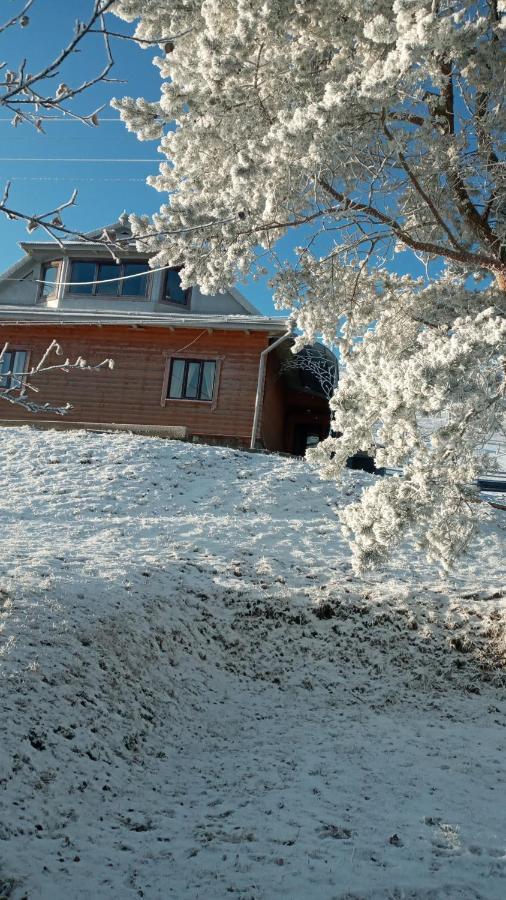 Vila Gutsulska Oselya Krivopol'ye Exteriér fotografie